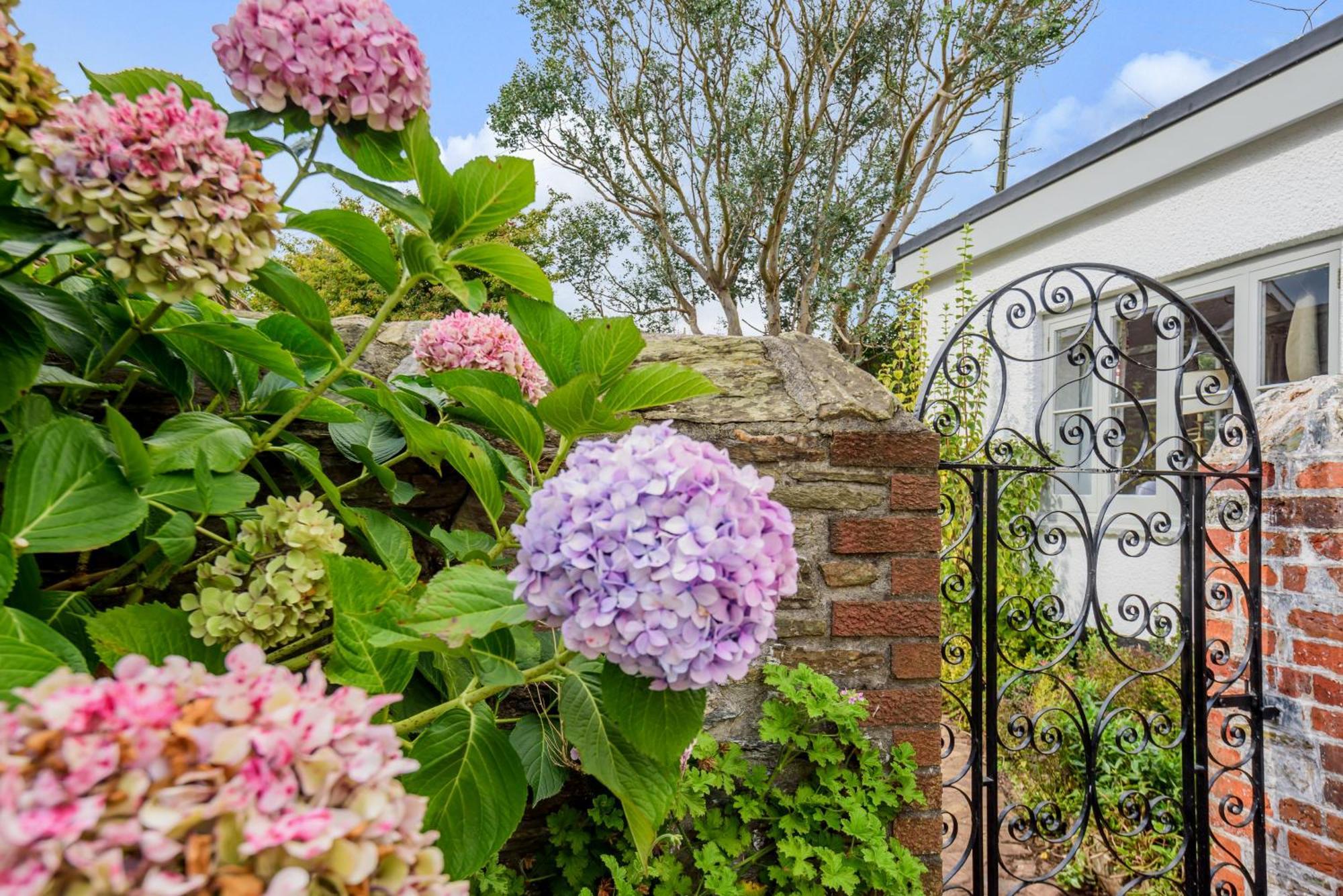The Secret Garden Villa Malborough Exterior photo